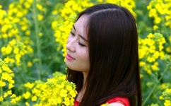 一道本在线伊人蕉